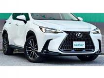 2023 Lexus NX