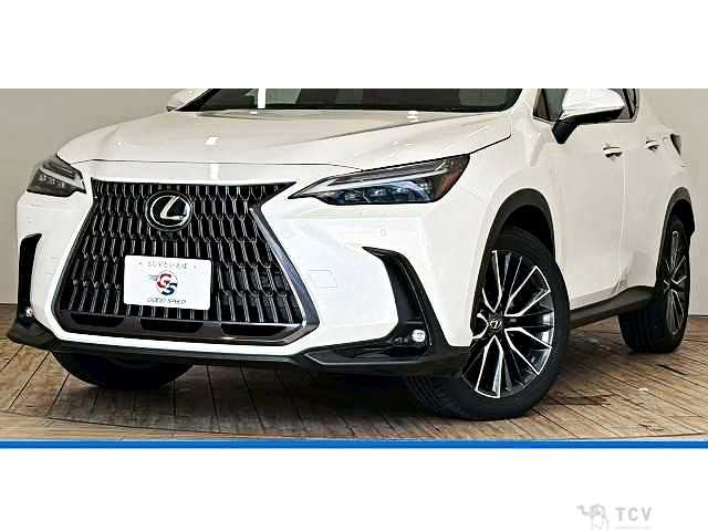 2023 Lexus NX