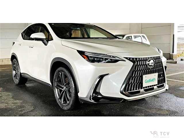 2023 Lexus NX