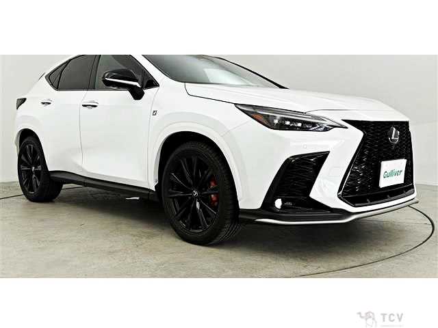 2023 Lexus NX