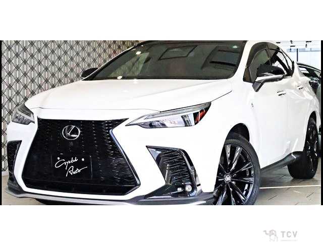 2023 Lexus NX