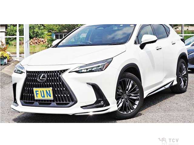 2023 Lexus NX