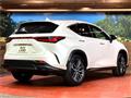 2023 Lexus NX