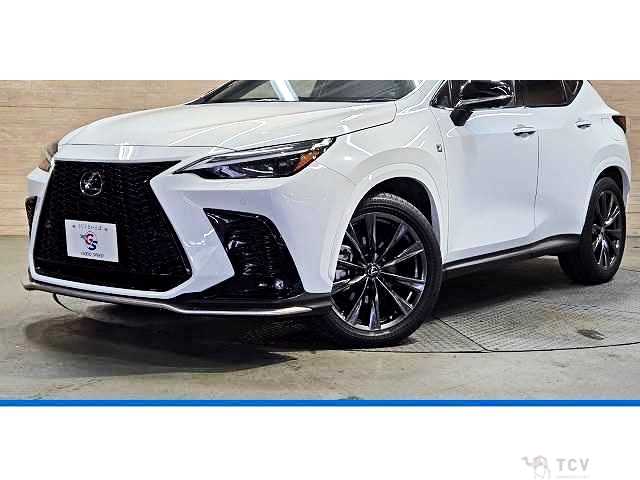 2023 Lexus NX