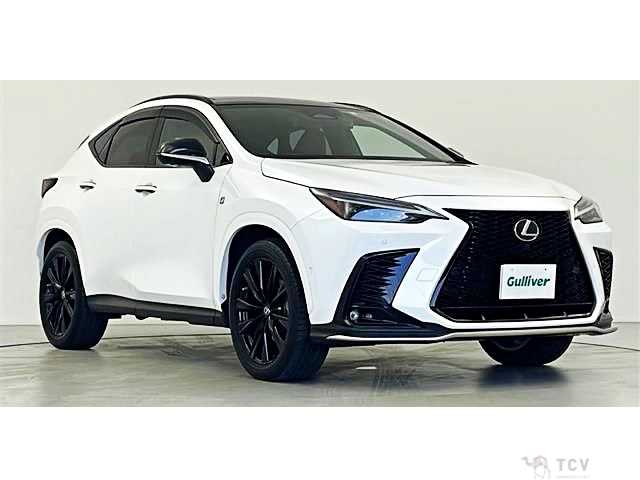 2023 Lexus NX