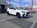 2023 Lexus NX