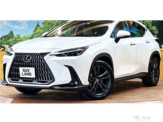 2023 Lexus NX