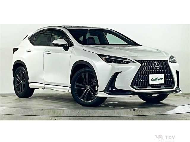 2023 Lexus NX