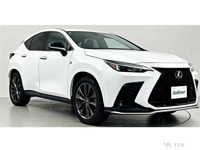 2023 Lexus NX