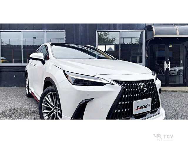 2023 Lexus NX