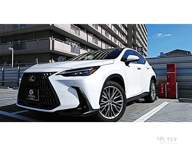 2023 Lexus NX