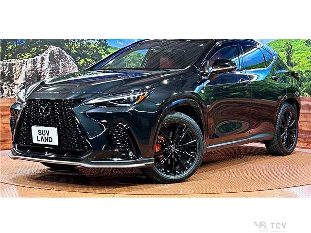 2023 Lexus NX