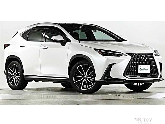 2023 Lexus NX