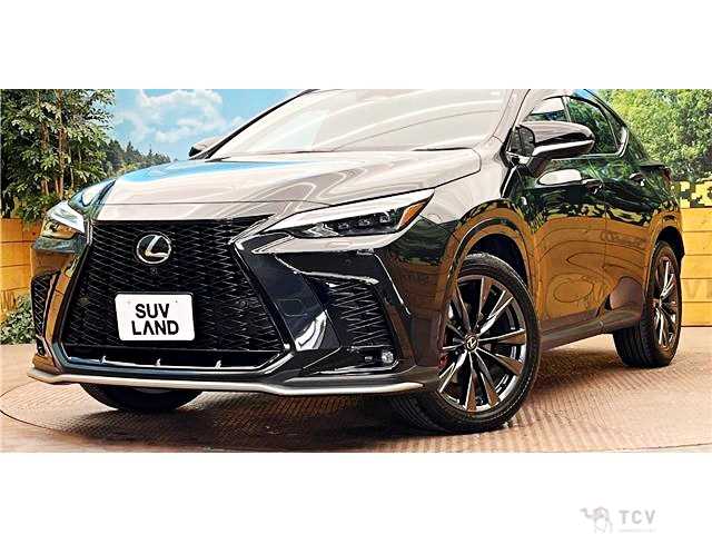 2023 Lexus NX