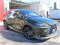 2023 Lexus NX