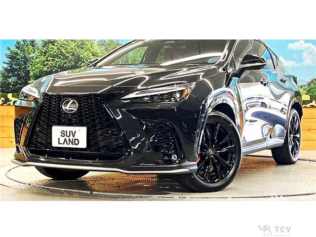 2023 Lexus NX