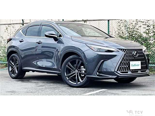 2023 Lexus NX