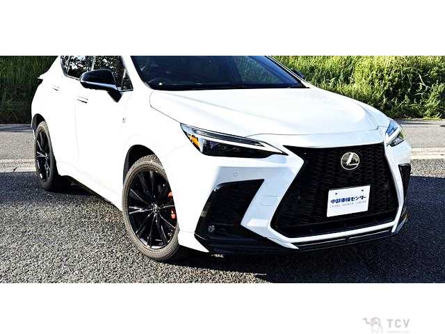 2023 Lexus NX