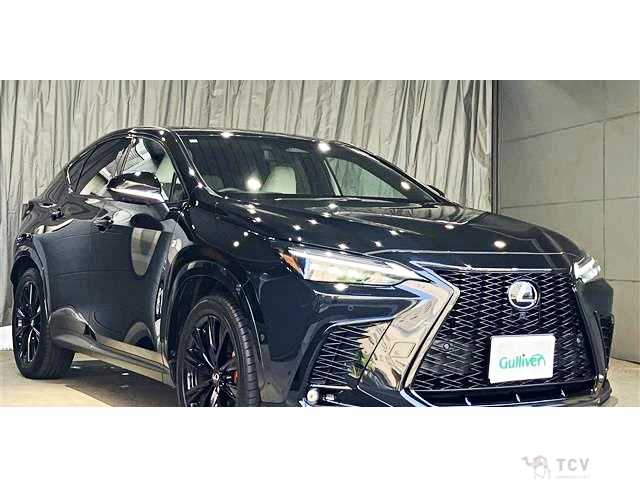 2023 Lexus NX