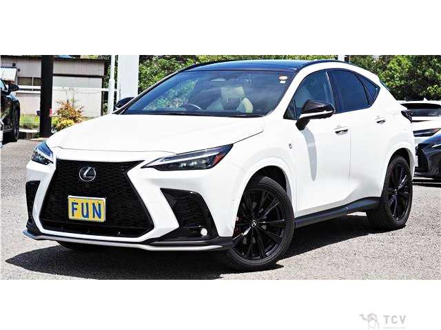2023 Lexus NX
