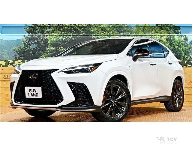 2023 Lexus NX