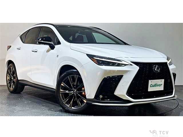2023 Lexus NX
