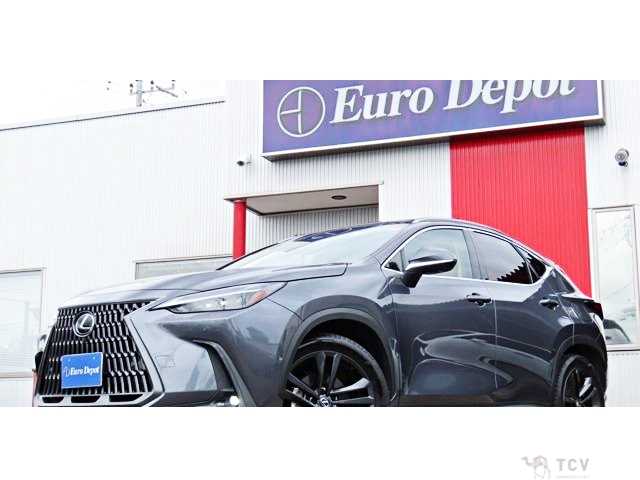 2023 Lexus NX