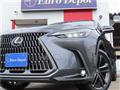 2023 Lexus NX