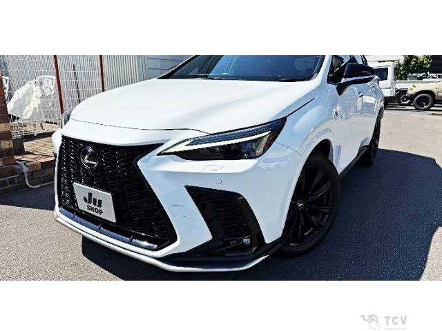 2023 Lexus NX