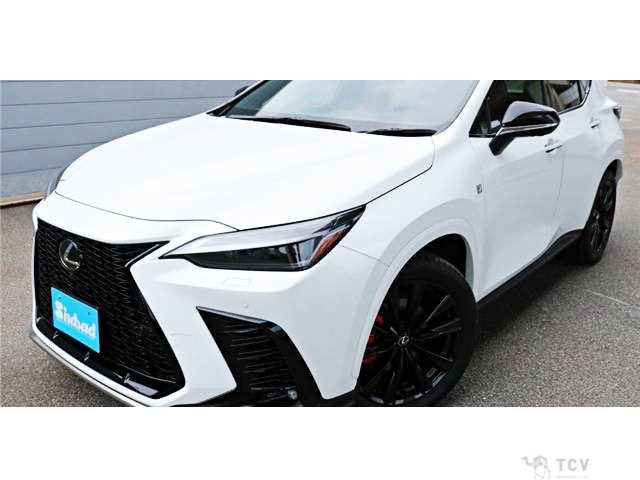 2023 Lexus NX