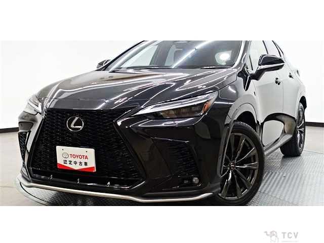 2023 Lexus NX
