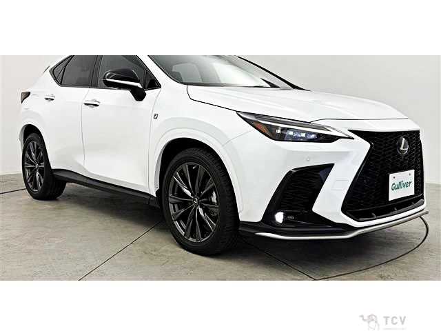 2023 Lexus NX