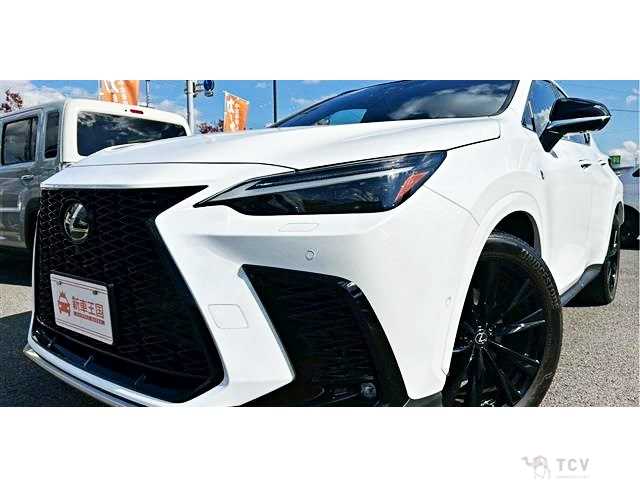 2023 Lexus NX