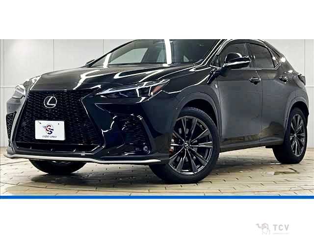 2023 Lexus NX