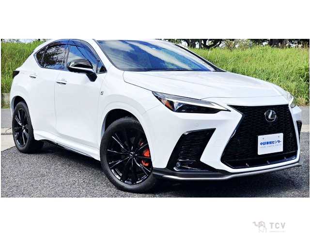 2023 Lexus NX