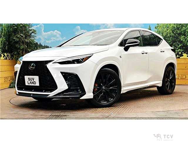 2023 Lexus NX