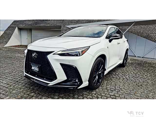 2023 Lexus NX