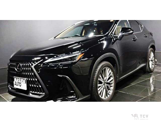 2023 Lexus NX