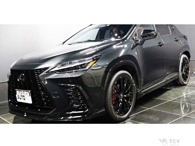2023 Lexus NX