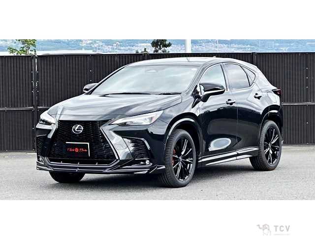 2023 Lexus NX