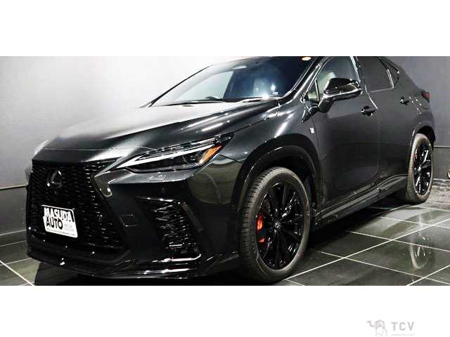 2023 Lexus NX