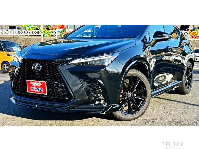 2023 Lexus NX