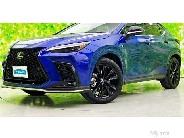 2022 Lexus NX