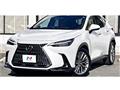 2022 Lexus NX