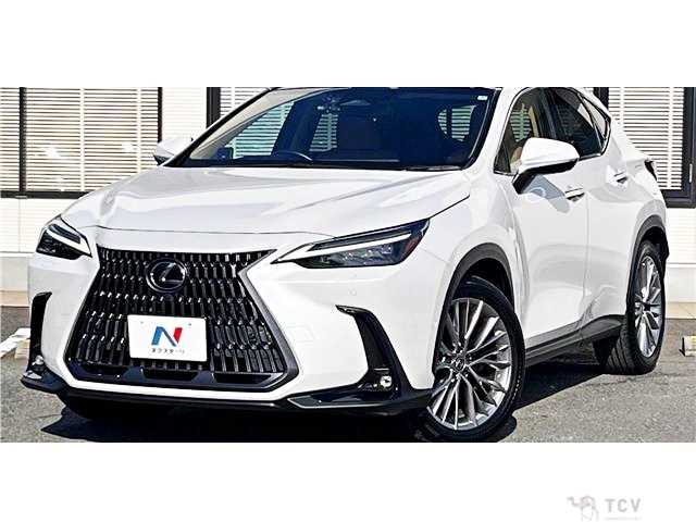 2022 Lexus NX