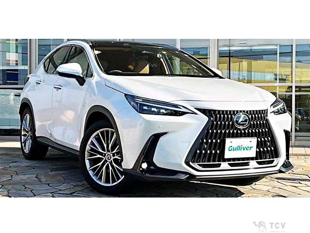 2022 Lexus NX