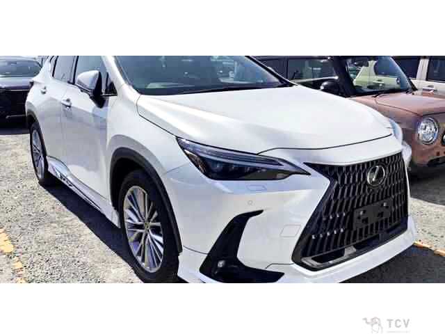 2022 Lexus NX