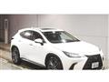 2022 Lexus NX