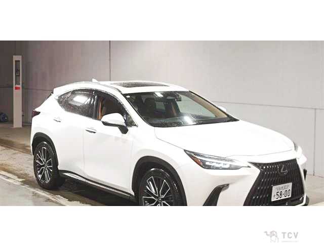 2022 Lexus NX