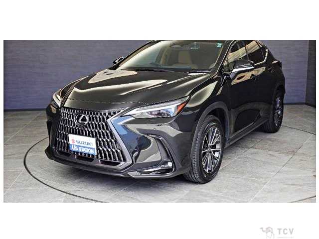 2022 Lexus NX
